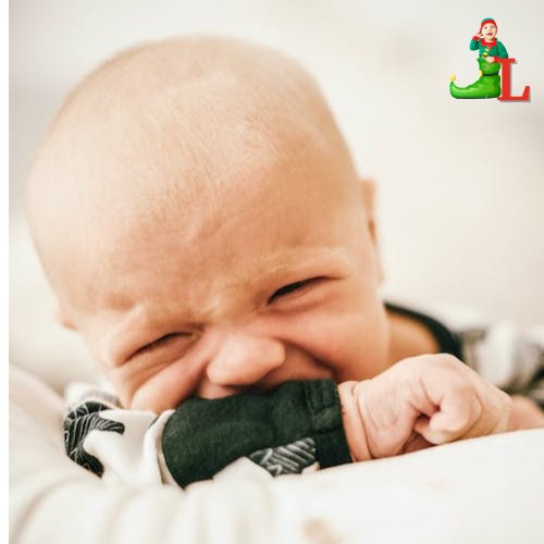 Gantdental™ - Joyeux Lutins