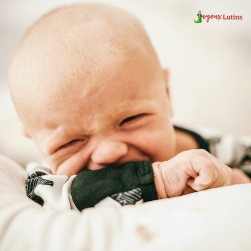 Gantdental™ - Joyeux Lutins