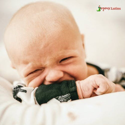 Gantdental™ - Joyeux Lutins